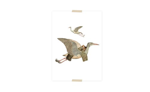 Postcard collage Museum-collectie - kraanvogel en meisje