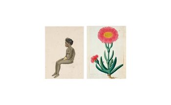 Collage de cartes postales Collection du Musée - fille assise fleur 7