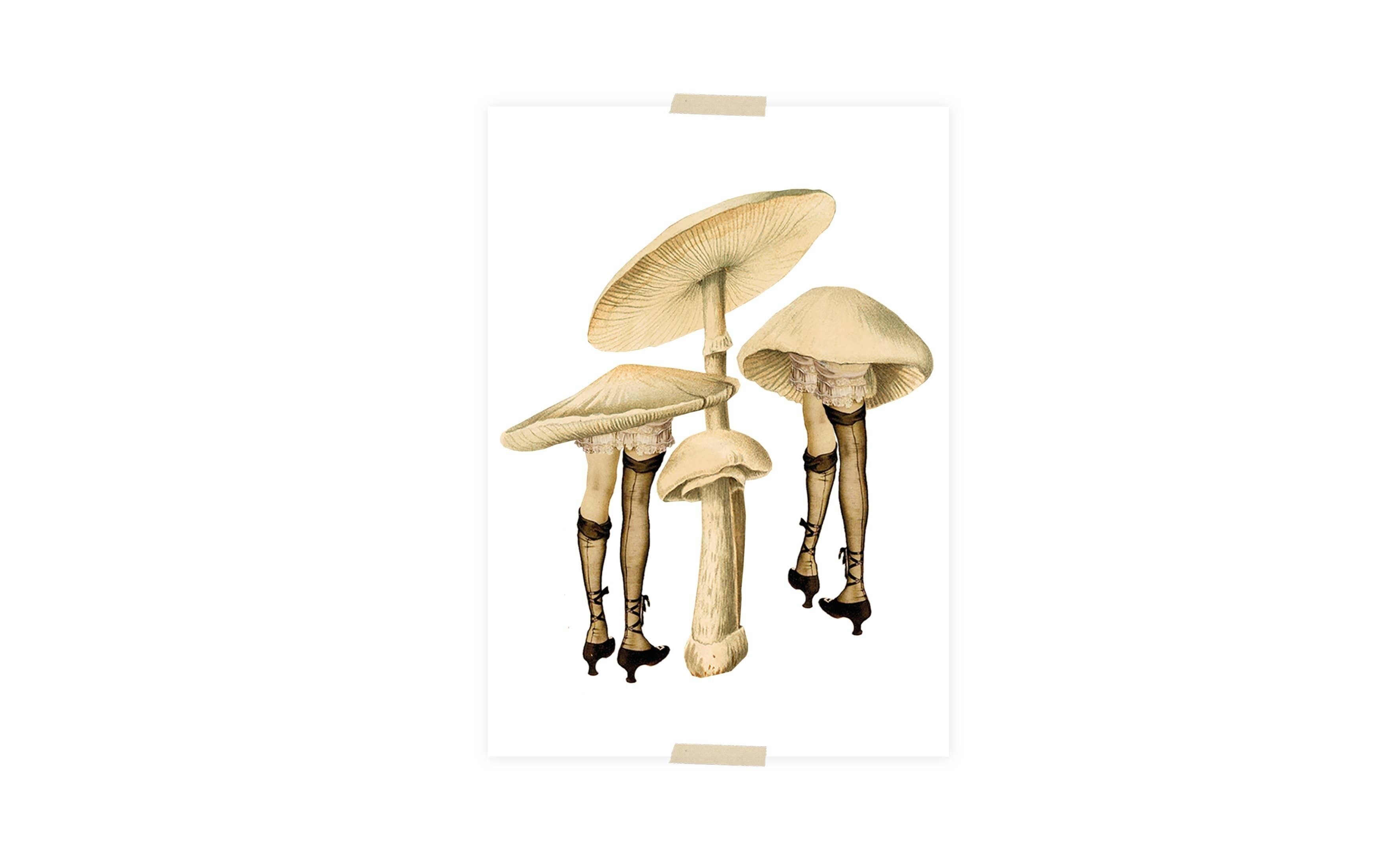 Funghi collage di cartoline con gambe