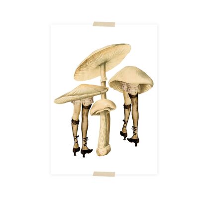 Funghi collage di cartoline con gambe