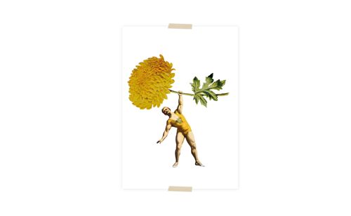 Postcard collage sterke man met gele chrysant