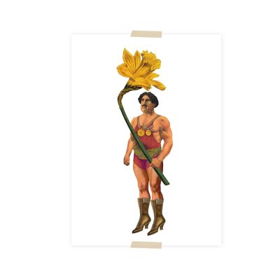 Uomo forte del collage della cartolina con il narciso