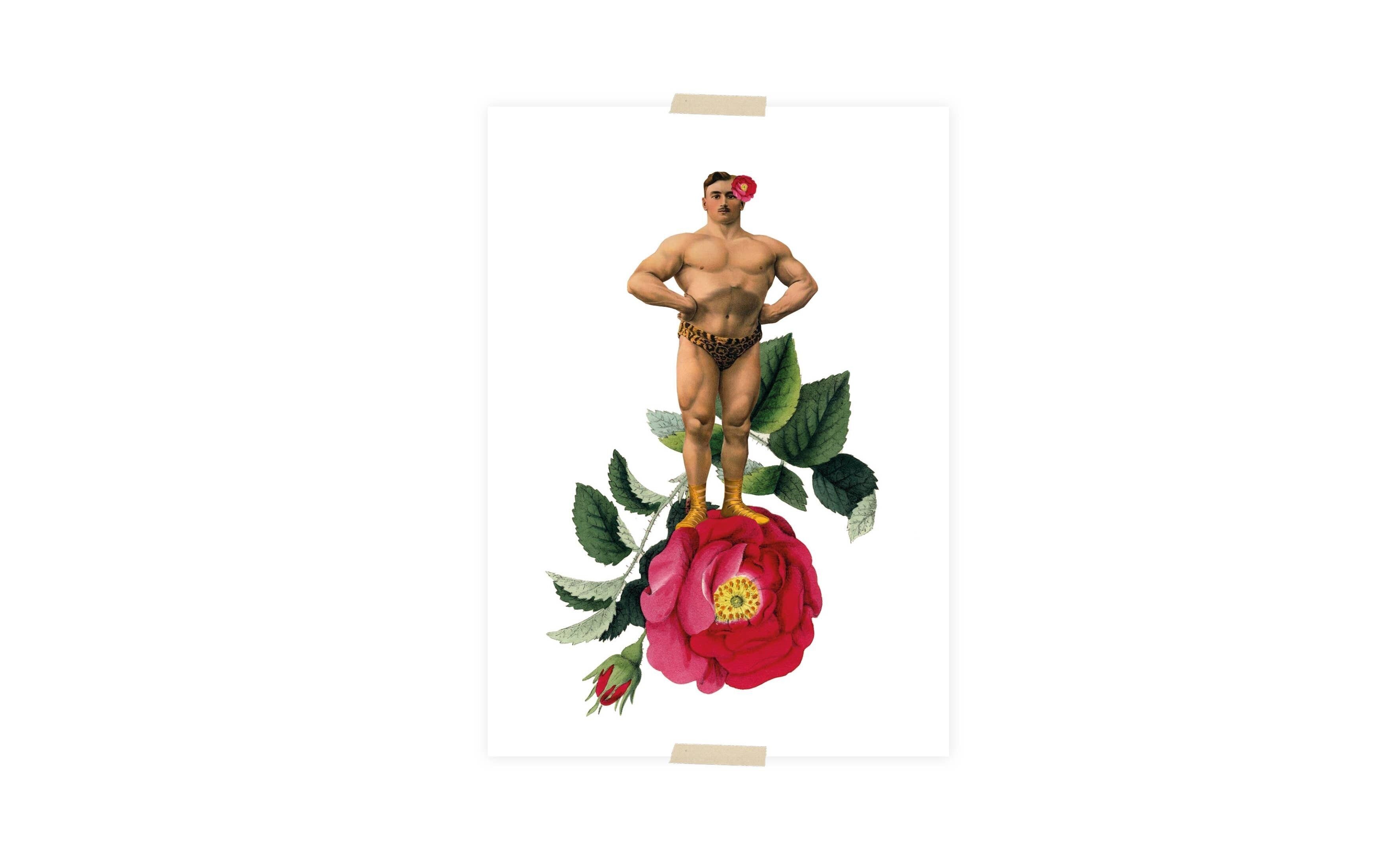 Uomo duro del collage della cartolina sulla rosa