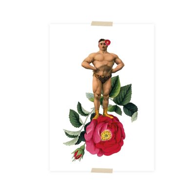 Uomo duro del collage della cartolina sulla rosa