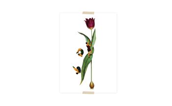 Collage de carte postale tulipe avec ressorts 1