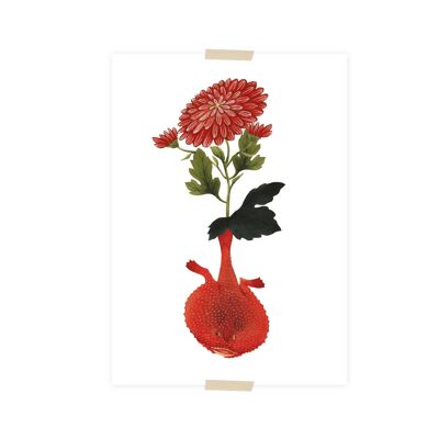 Postcard collage from the Naturalis collection - Melting Heart