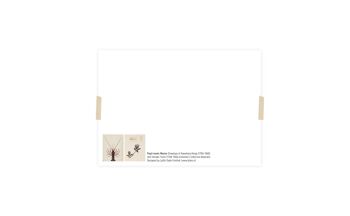 Collage de cartes postales de la collection Naturalis - La Danseuse 2