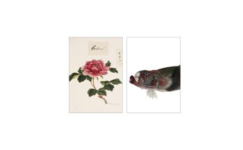 Collage carte postale de la collection Naturalis - L'amant 3