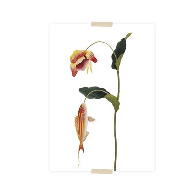 Collage de postales de la colección Naturalis - El Resplandor