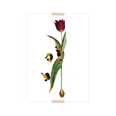 Stampa (A5) collage - Tulipano con maglioni