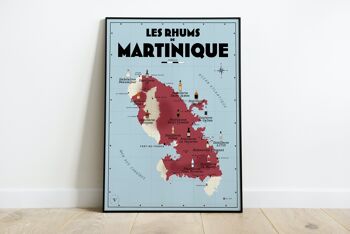 Carte des Rhums de Martinique - Idée cadeau pour amoureux du rhum 5