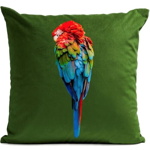 Coussin tropical - Perroquet Red Parrot