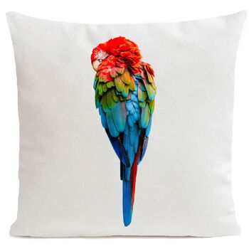 Coussin tropical - Perroquet Red Parrot 6