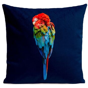 Coussin tropical - Perroquet Red Parrot 10