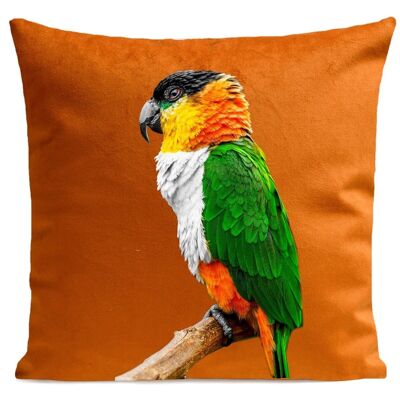 Cuscino decorativo tropicale, pappagallo, 40x40cm, camoscio, verde - Perroquet Coco
