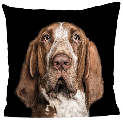 Coussin chien - Leo Le Bracco