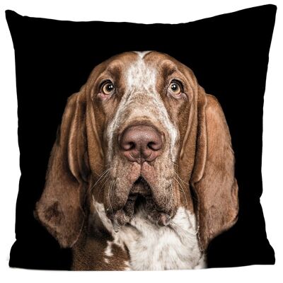 Dog cushion - Leo Le Bracco