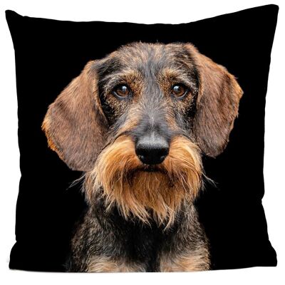 Coussin chien - Samuel Le teckel