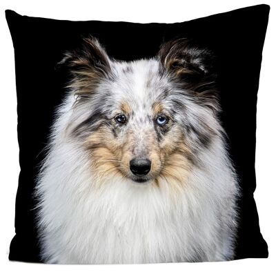 Dog cushion - Felicien The Australian