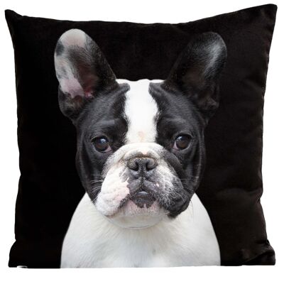 Dog cushion - The bulldog, Raymond