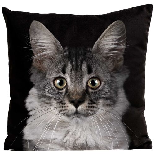 Coussin chat - Mozart
