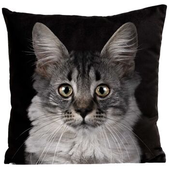 Coussin chat - Mozart 1