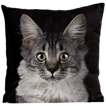 Coussin chat - Mozart 2