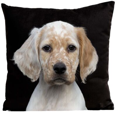 Coussin chien - chiot Ron