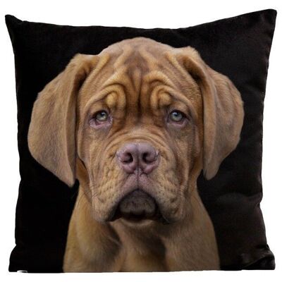 Dog cushion - Dogue de Bordeaux, Gunter