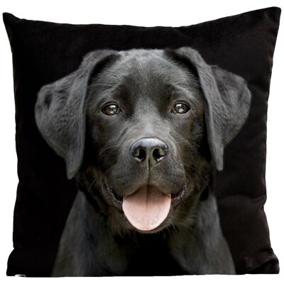 Coussin chien - Labrador, Pilou