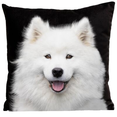 Dog cushion - Inouk La Samoyede