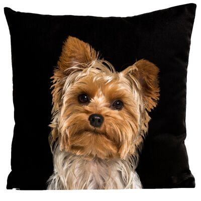 Coussin chien, noir, suédine, 40x40cm - Yorkshire, Kiki