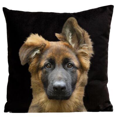 Coussin chien - Berger Allemand, Stark