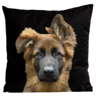 Dog Cushion - German Shepherd, Stark