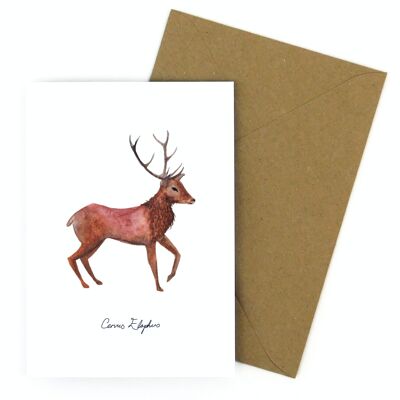 Sylvan Stag Greetings Card