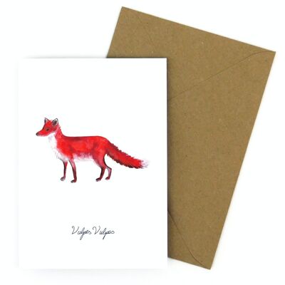 Carte de voeux de renard roux sylvestre