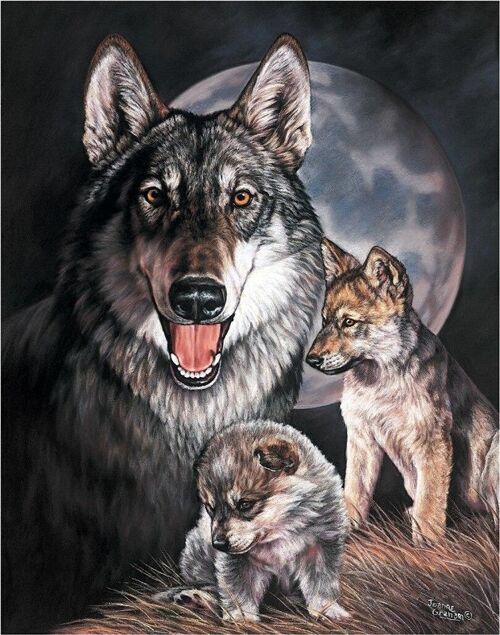 Plaque metal famille Loups