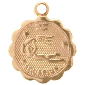 Médaille astro dorée à l'or fin - Verseau (250066) 2