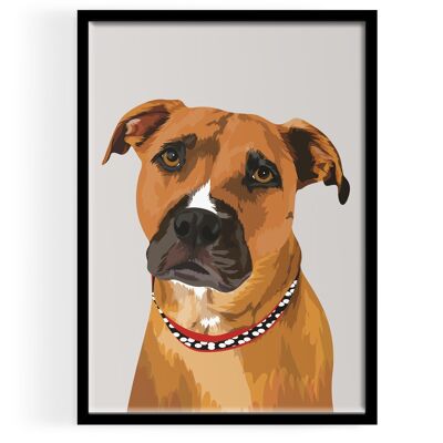 Custom Pet Illustration