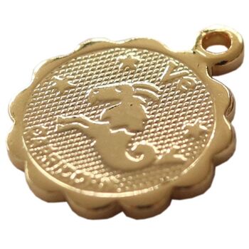 Médaille astro dorée à l'or fin - Capricorne (250070) 4