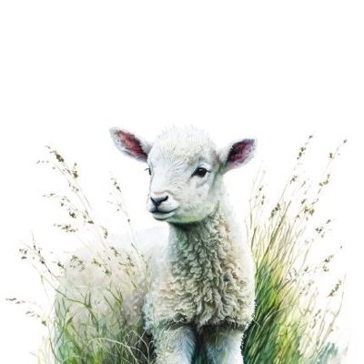 Sustainable card - little lamb