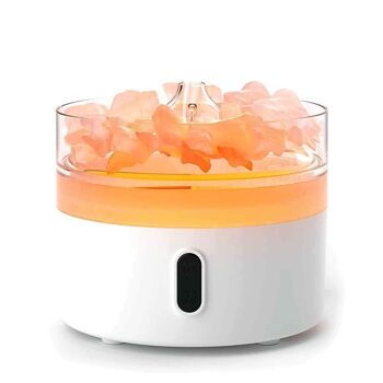 AATOM-27 - Diffuseur d'arômes de sel de l'Himalaya - Veilleuse - USB-C - Effet de flamme (sel inclus) - Vendu en 1x unité/s par extérieur 1