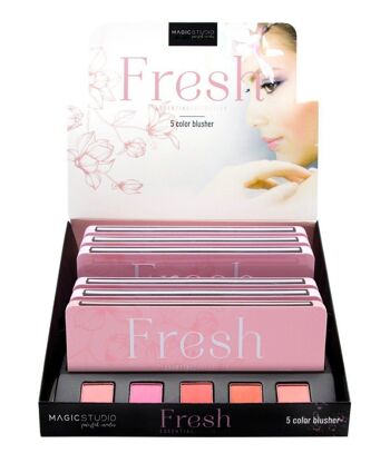 Palette 5 Blush FRESH - 5 couleurs - 14.5g - Magic Studio 3