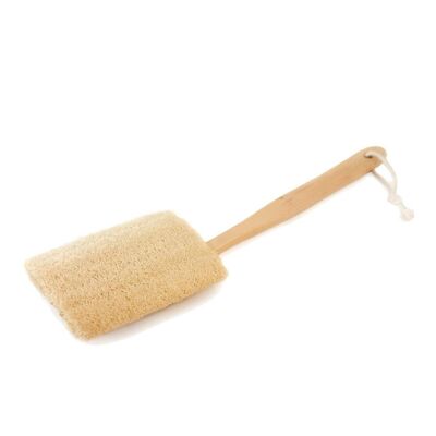 Brush with removable Loofah head
