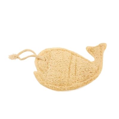 Pad Whale in Loofah