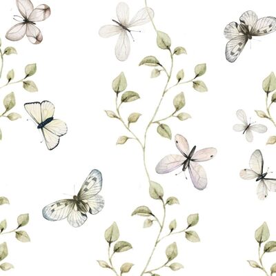 Butterflies Having Fun Wallpaper