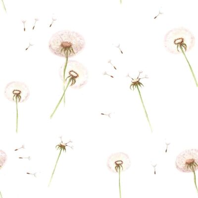 Dandelions Wallpaper