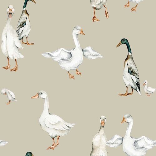 White Ducks Wallpaper / Return to Innocence