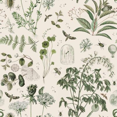 Grüne botanische Geschichten Wallpaper
