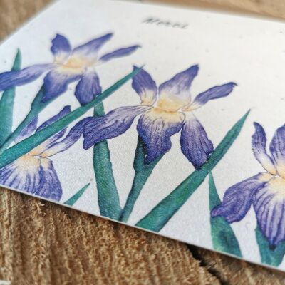 Ilustración con semillas + sobre - Gracias Iris